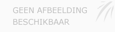 Afbeelding › Burgmeijer's Bouwbedrijf